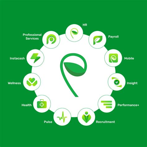 The Sprout Ecosystem .